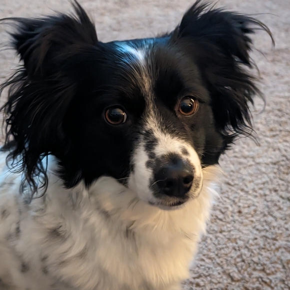 Meet your Posher, Anna - Picture 5 of 12